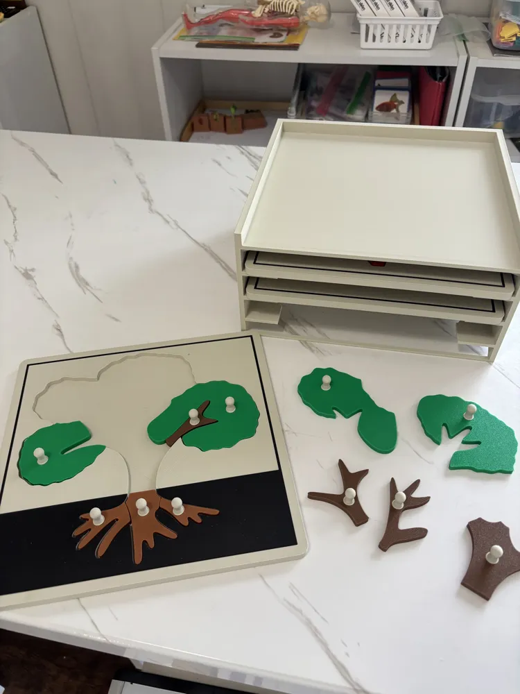 Montessori Botany Puzzle Cabinet - Free 3D Print Model - MakerWorld