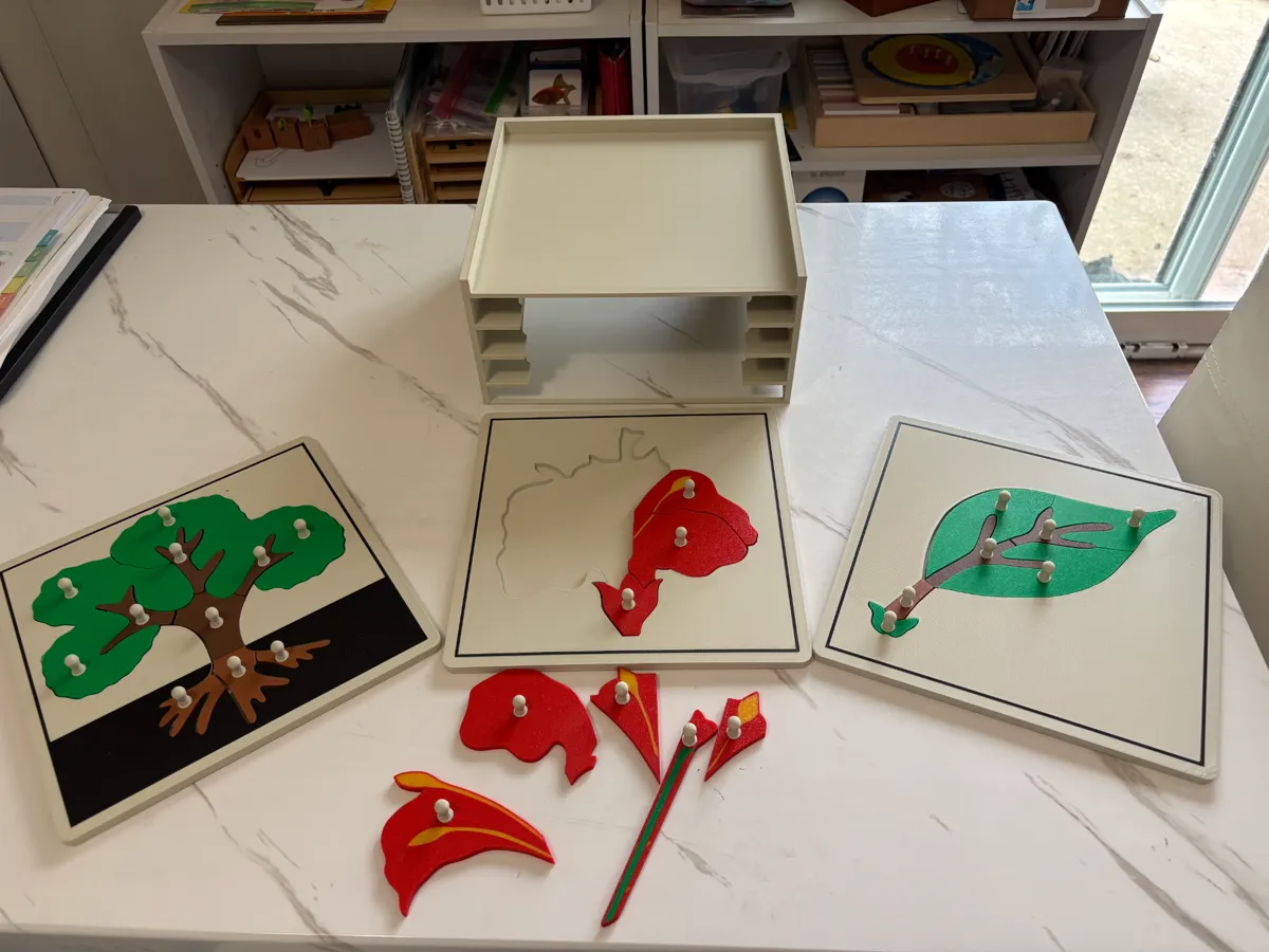 Montessori Botany Puzzle Cabinet - Free 3D Print Model - MakerWorld