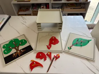 Montessori Botany Puzzle Cabinet