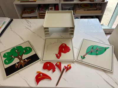 Montessori Botany Puzzle Cabinet