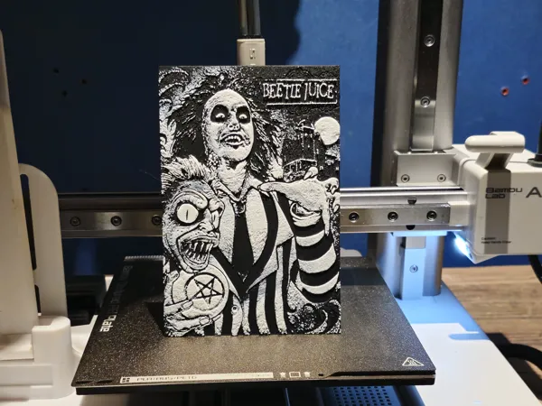 https://makerworld.bblmw.com/makerworld/model/USce5916f2b204ff/design/2024-07-27_e36bf728c1625.jpg