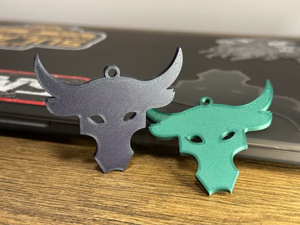 https://makerworld.bblmw.com/makerworld/model/USce66bfa46fc62d/design/2025-02-14_0c5a545e4b5f98.jpeg