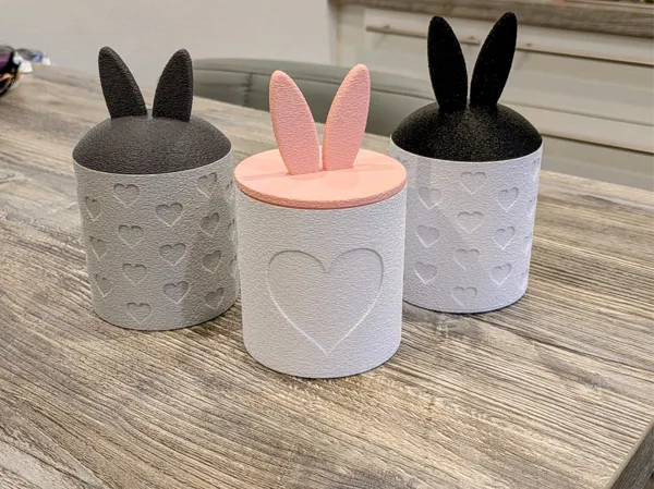 https://makerworld.bblmw.com/makerworld/model/USce67a7ec2121e7/design/2025-02-21_8aadb739c27b58.jpg