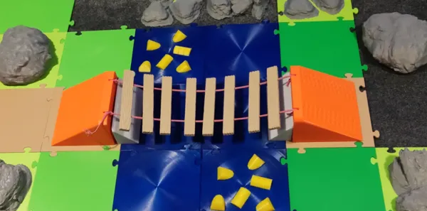 https://makerworld.bblmw.com/makerworld/model/USce6881e78769c/design/2024-12-09_2e383508a59c1.jpg
