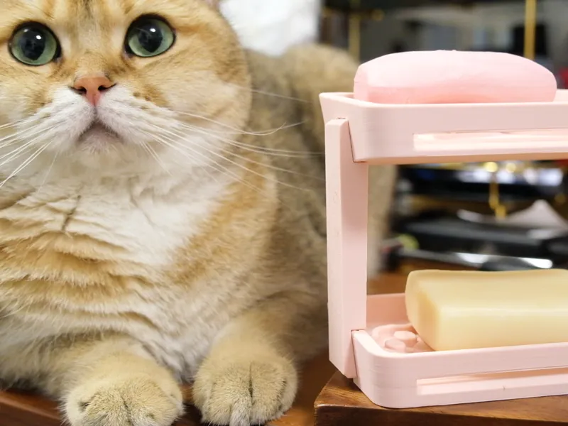 Double-Layer Soap Holder with Cat Paw Design