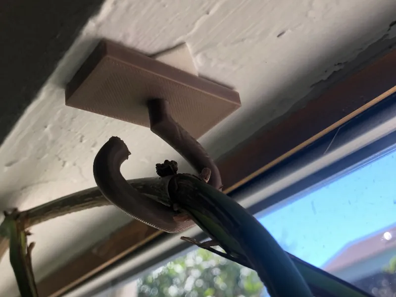 Hanger Hook for Vine Plants