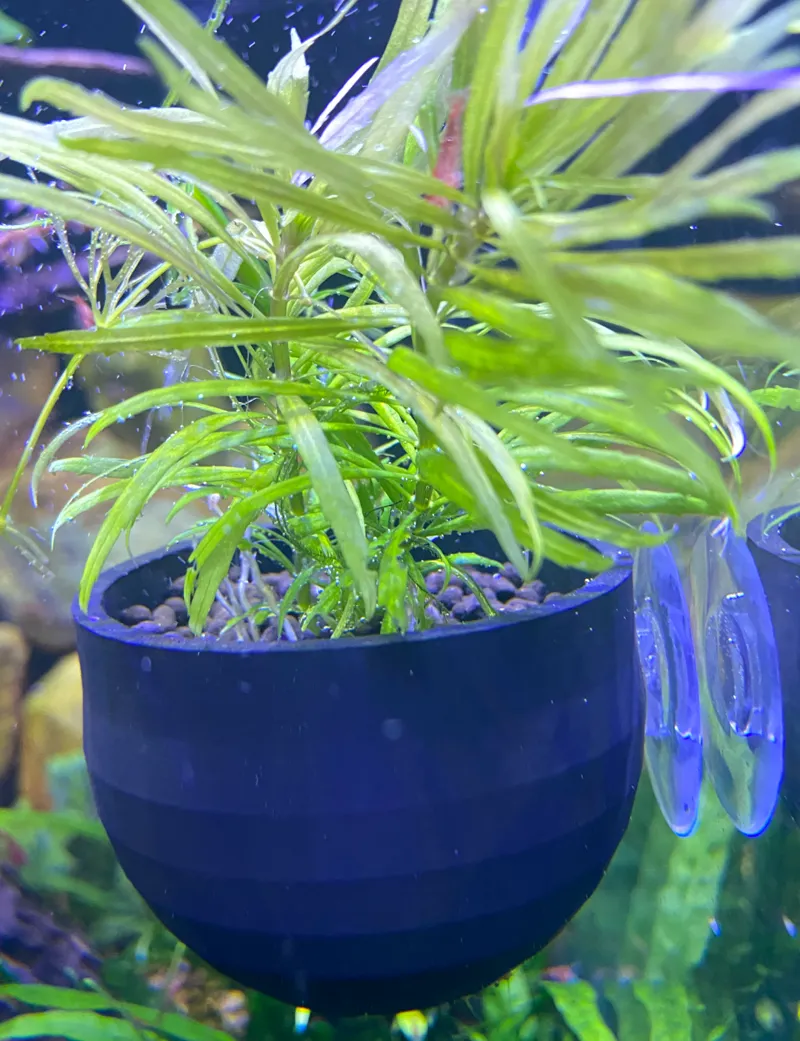 Flying pot!