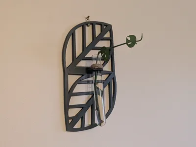 Monstera Propegator