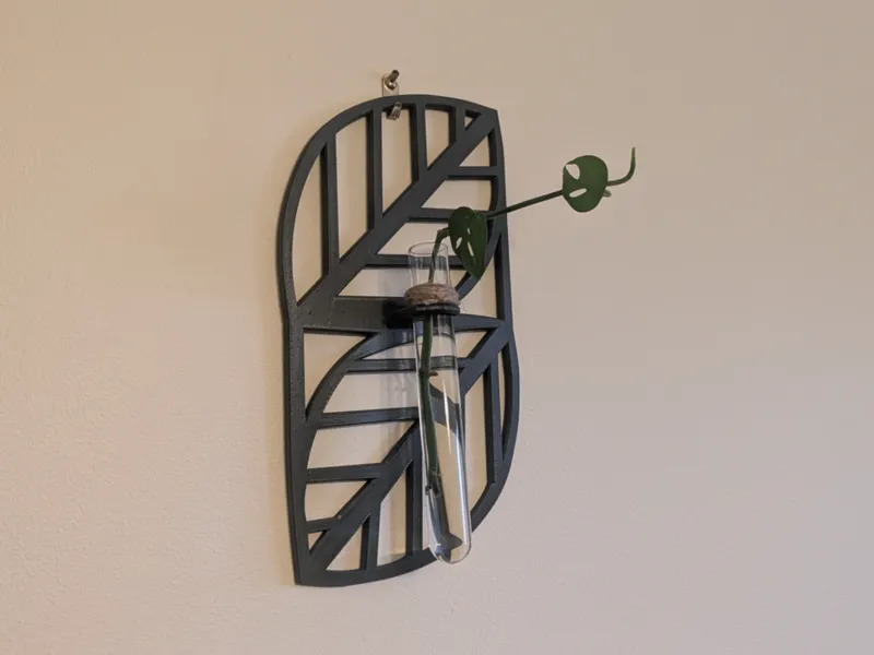 Monstera Propegator