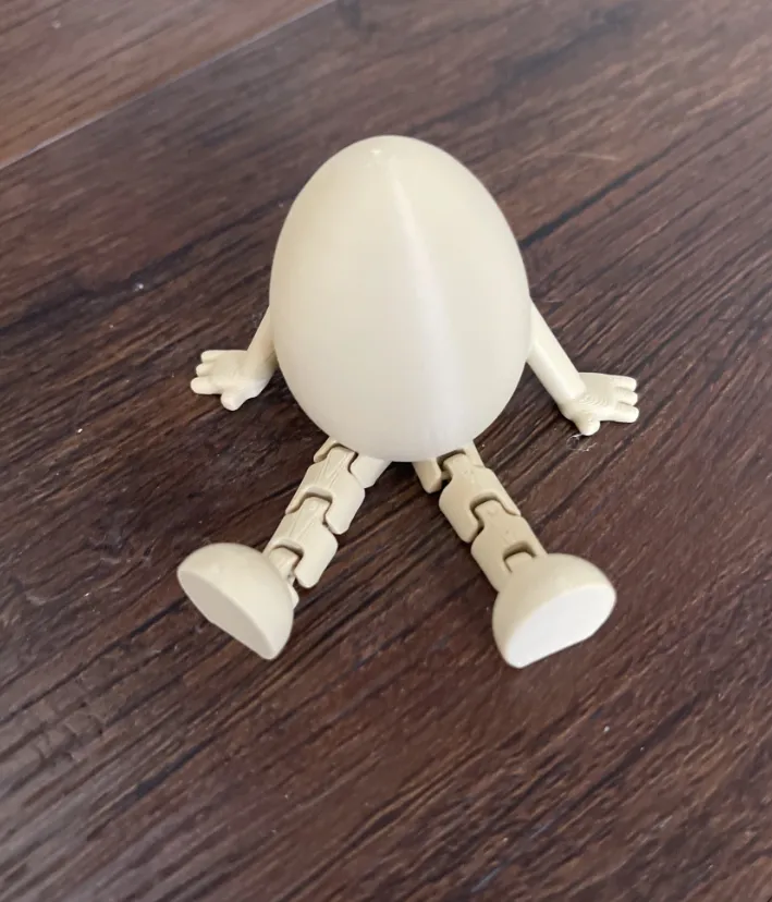 Mr flexi egg