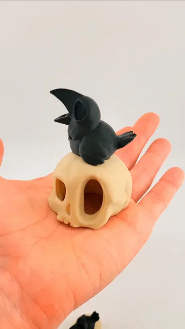 kawaii skull crow sweet cute view 2