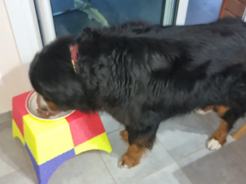 Big Dog Bowl Holder