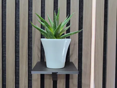 Self-supporting shelf for slatted walls