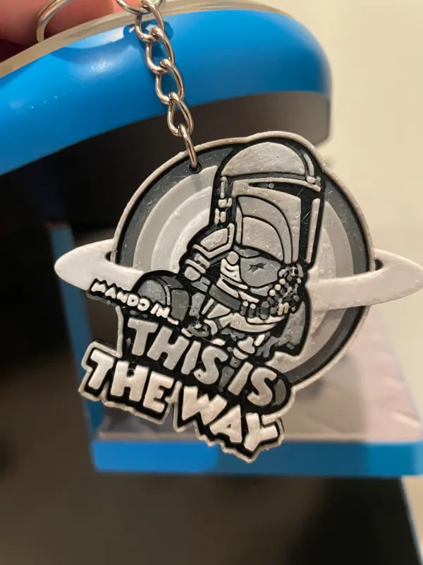https://makerworld.bblmw.com/makerworld/model/USce84135d2241cf/design/2024-02-20_a7e4a4143eddb.jpeg