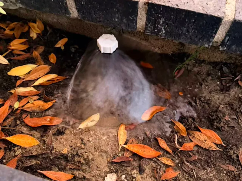 Mushroom Bubbler Irrigation head