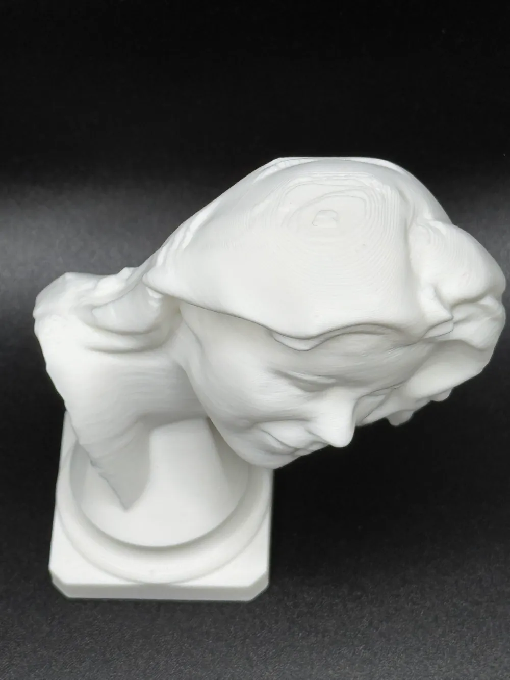 Sarah Connor Bust by setecx - MakerWorld