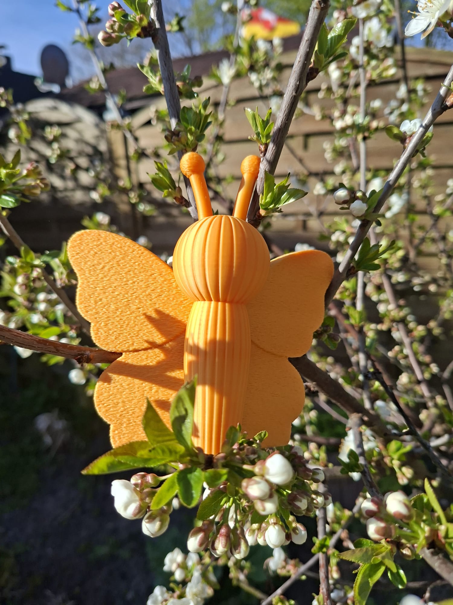Miniatura 2 do modelo 3D Moderner Schmetterling