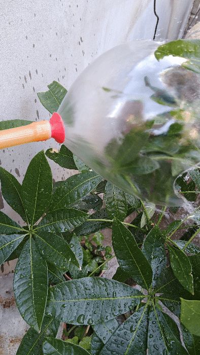 低壓水管免動手-Low pressure water pipes hands-free