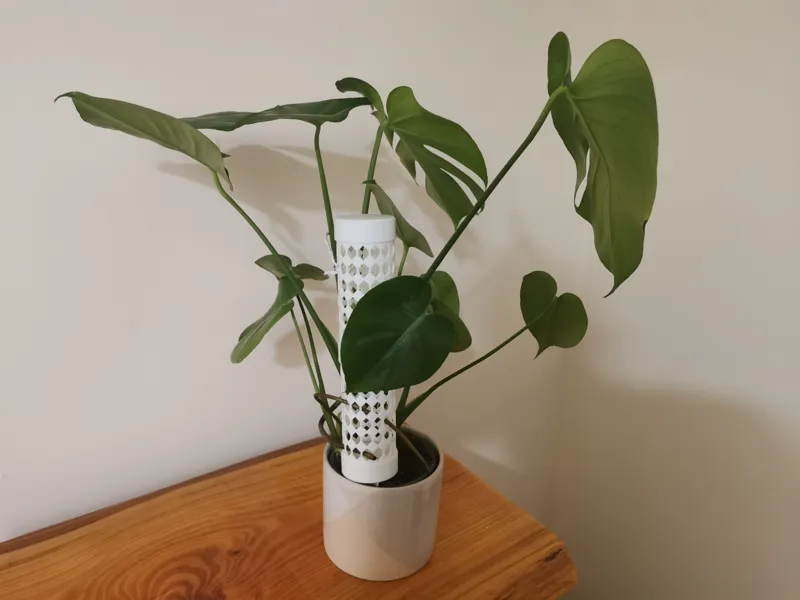 Modular House Plant Support Pole - 60mm Diameter