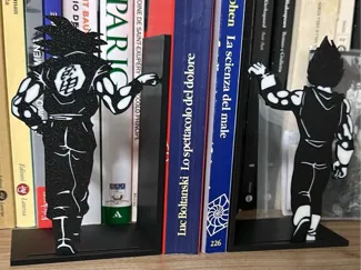 Dragon ball Ferma libri 