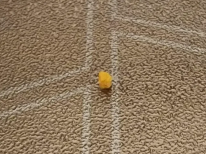 mini cylinder