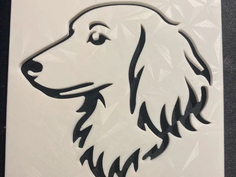 long-haired dachshund coaster