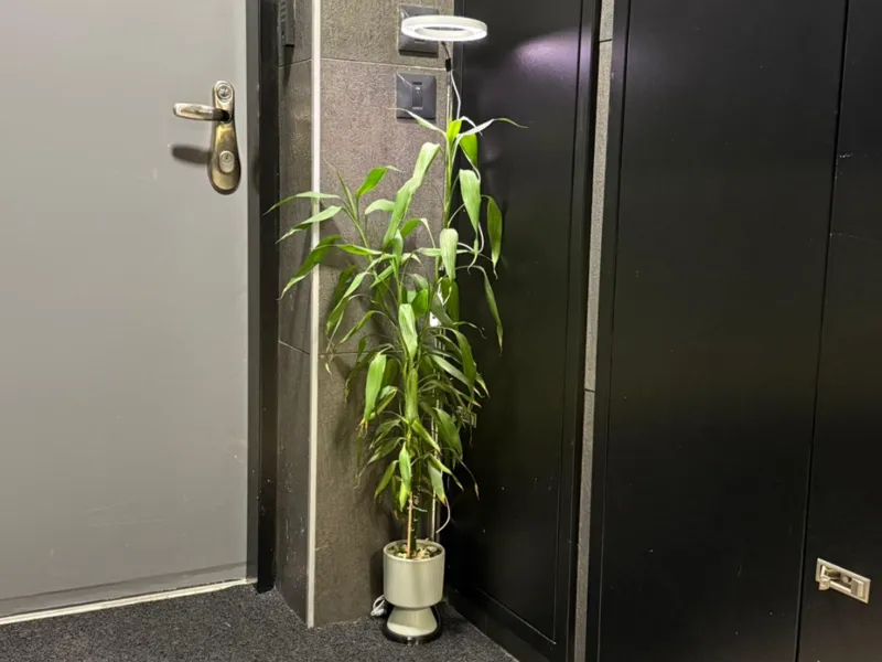 Grow Lights Holder
