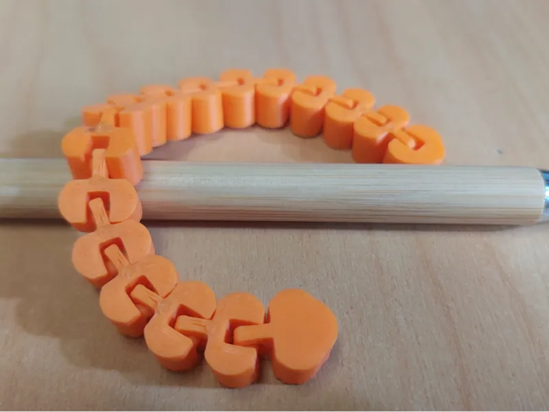 Flexible Snake Fidget