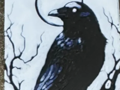 Midnight Raven with the moon bookmark