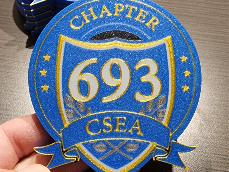 CSEA Ch 693 Coaster