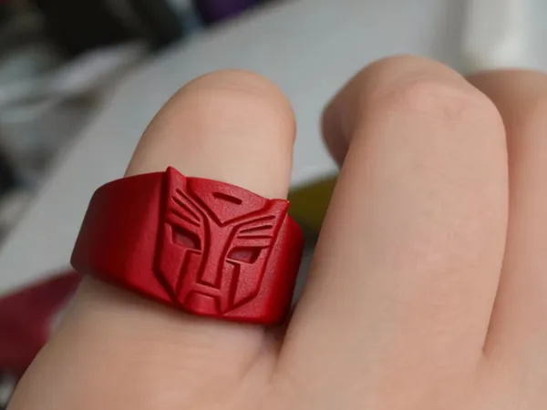 https://makerworld.bblmw.com/makerworld/model/UScea71647f31602/design/2025-11-04_92b2ab608d0188.jpg