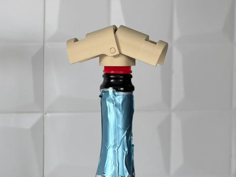 Bottle plug for bottles - champagne, prosecco