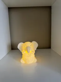 0.2mm layer, 1 walls, 5% infill