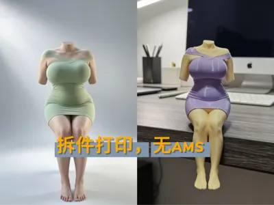 BBW plump figure, print in parts, no AMS