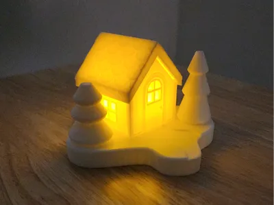 Light up Christmas House