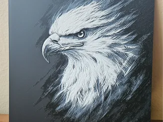 Bald Eagle sketch Hueforge