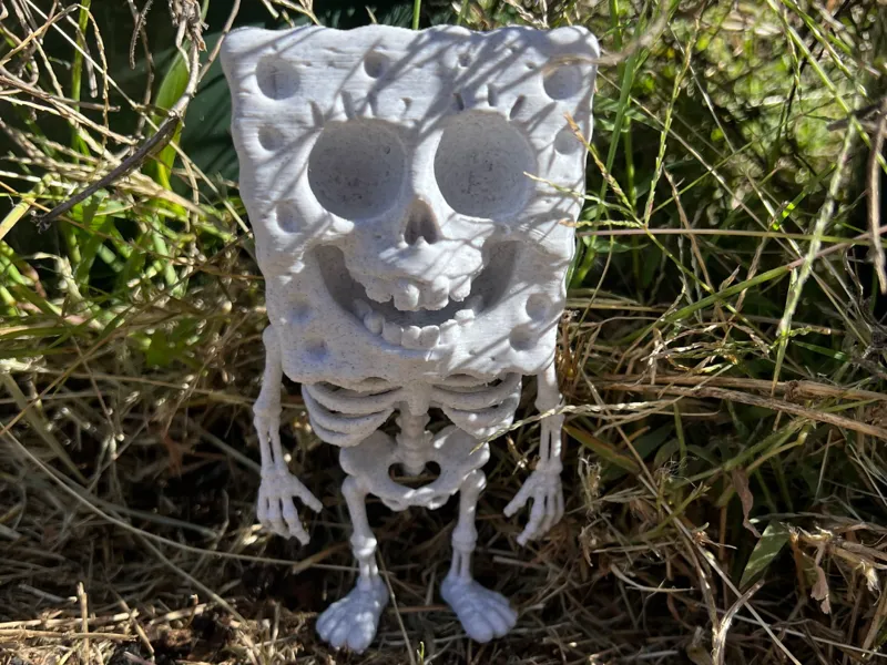 Spooky Skeleton Sponge