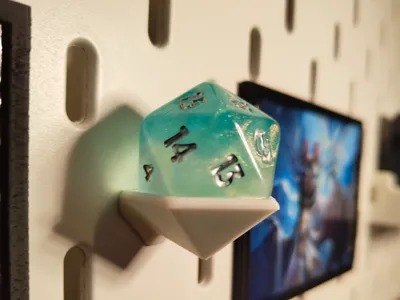 D20 Skadis holder