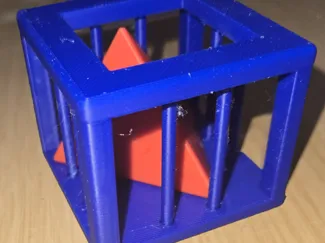 The Cell Puzzle