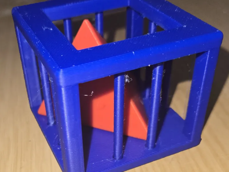 The Cell Puzzle