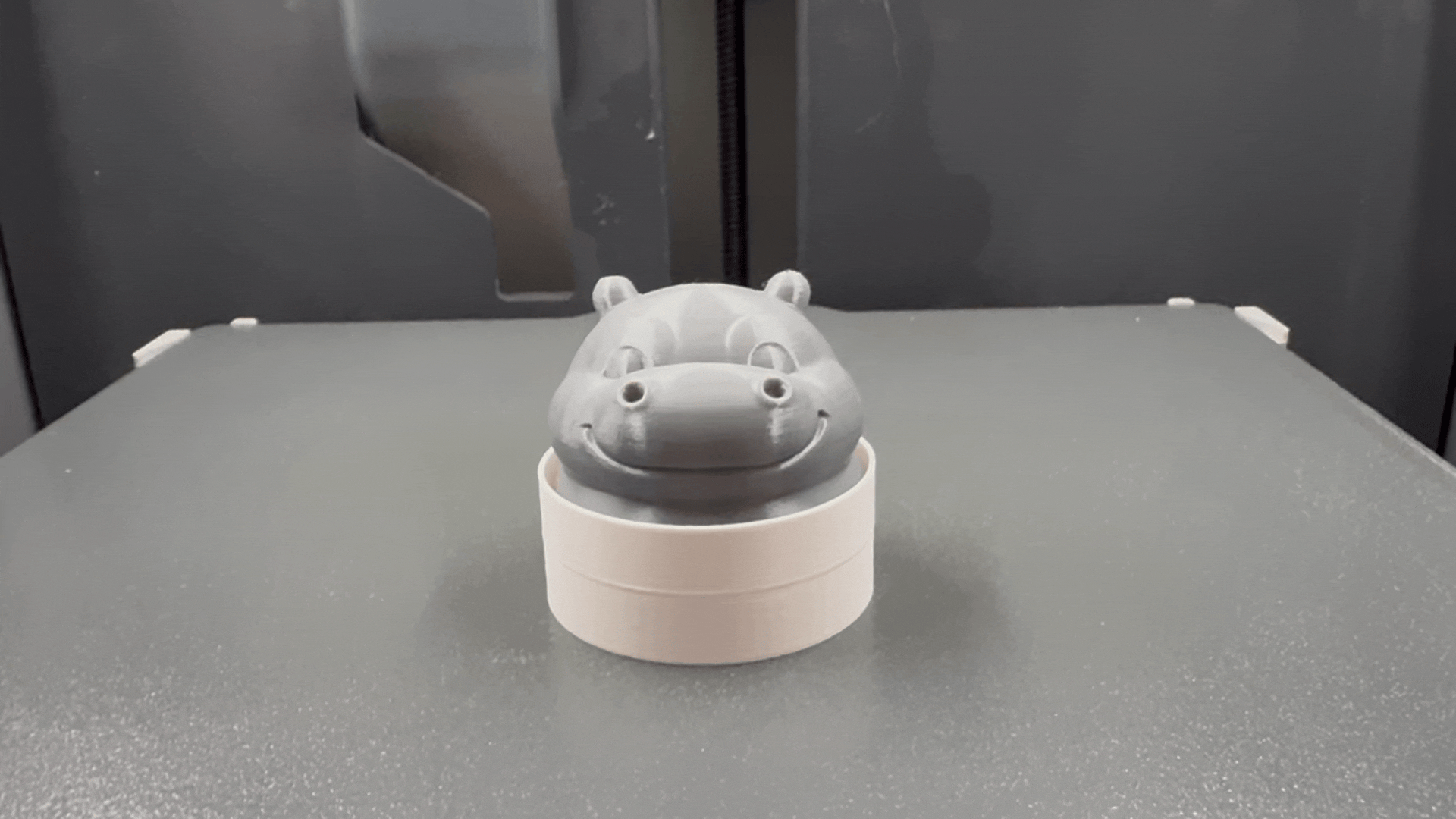 The Happy Hippo Clicker Fidget