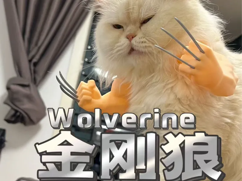猫咪宠物周边-肌肉手臂-金刚狼Wolverine