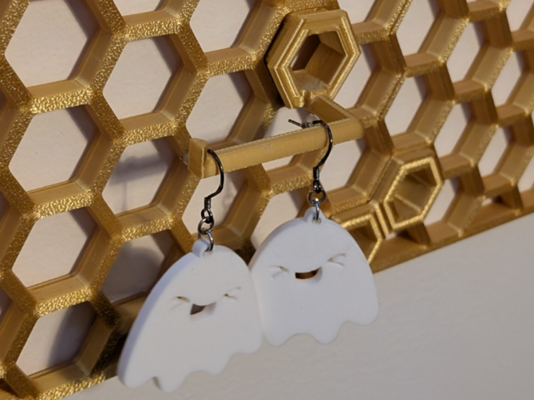 HSW horizontal earring holder