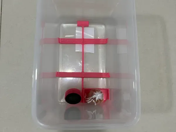 Simple and Effective IKEA 365+ 10.6L based Drybox