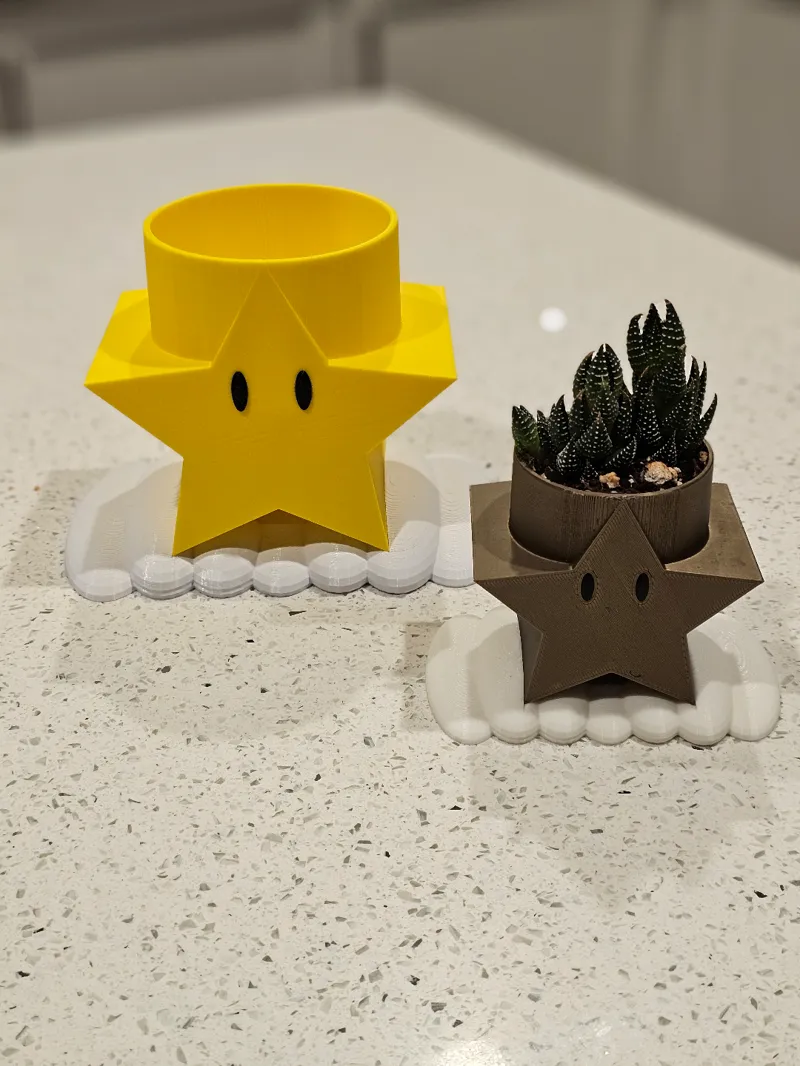 Mario Star Plant Pot