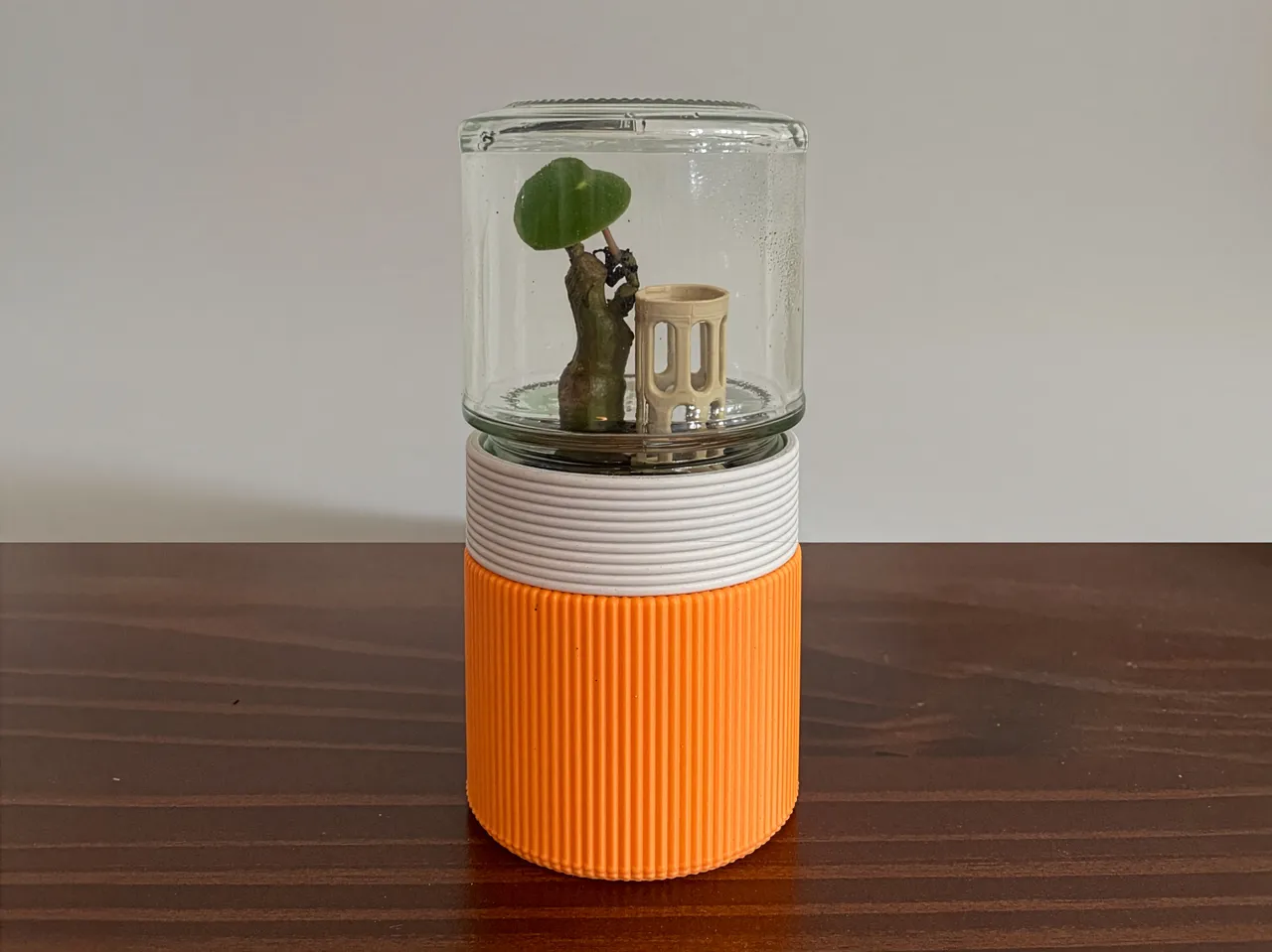Mini Jar Greenhouse – Mason Jar view 3
