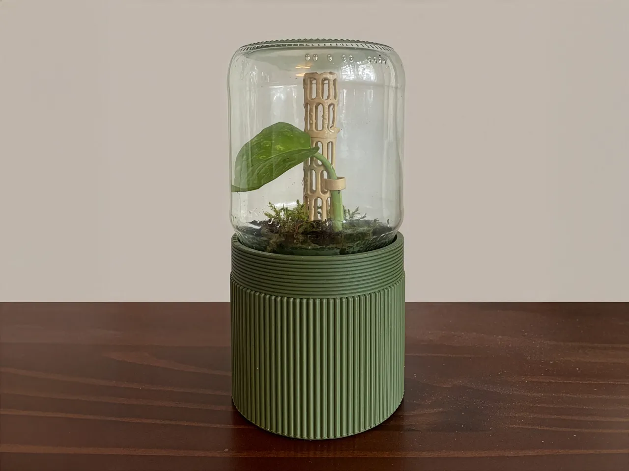 Mini Jar Greenhouse – Mason Jar view 2