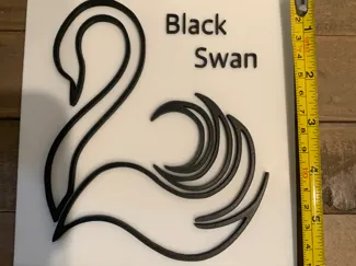 Blackswan logo (Keeper of The Lost Cities)