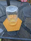 PETG widemouth/standard mouth combo 