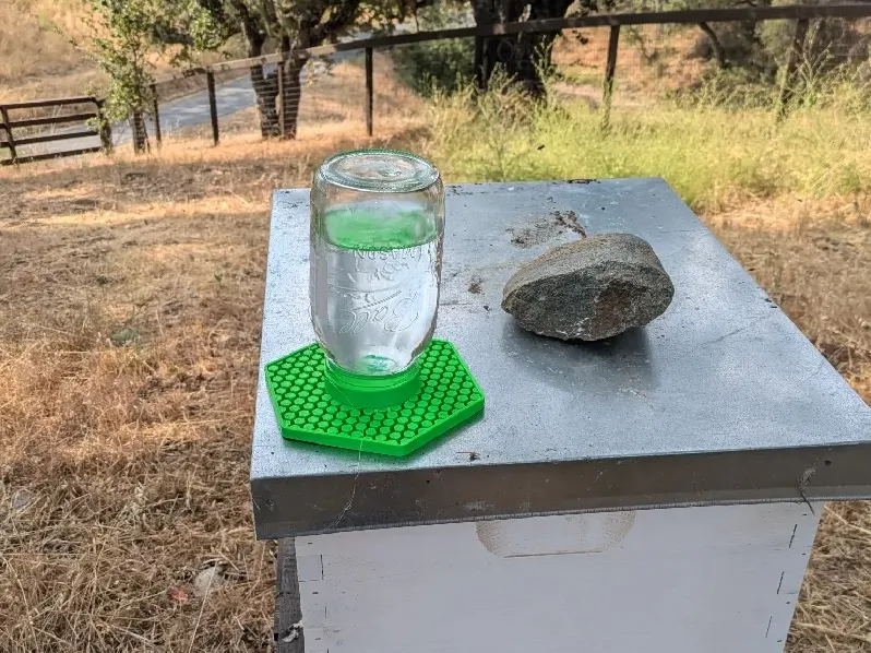 Screw on bee water tray for wide mouth mason jar